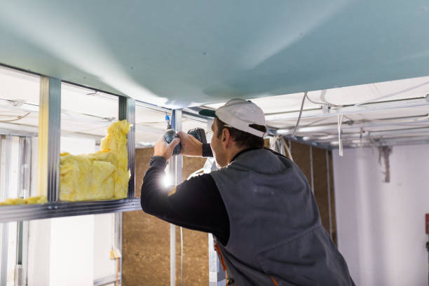 Best Residential Insulation in Preston, TX