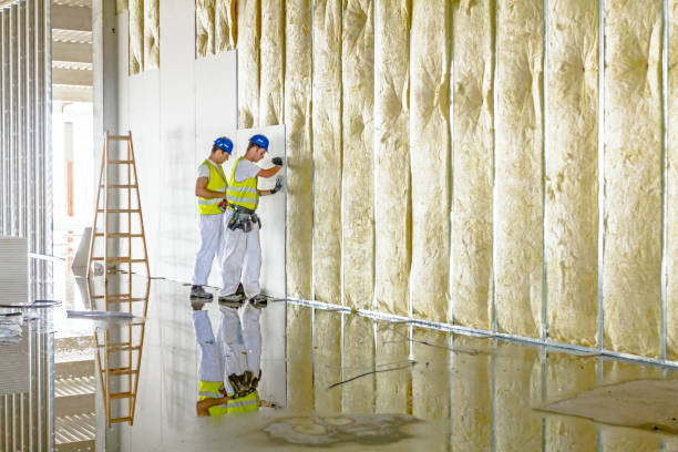 Best Insulation Installation Services in Preston, TX